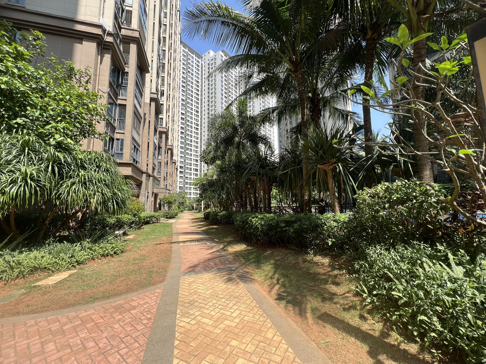 外景图