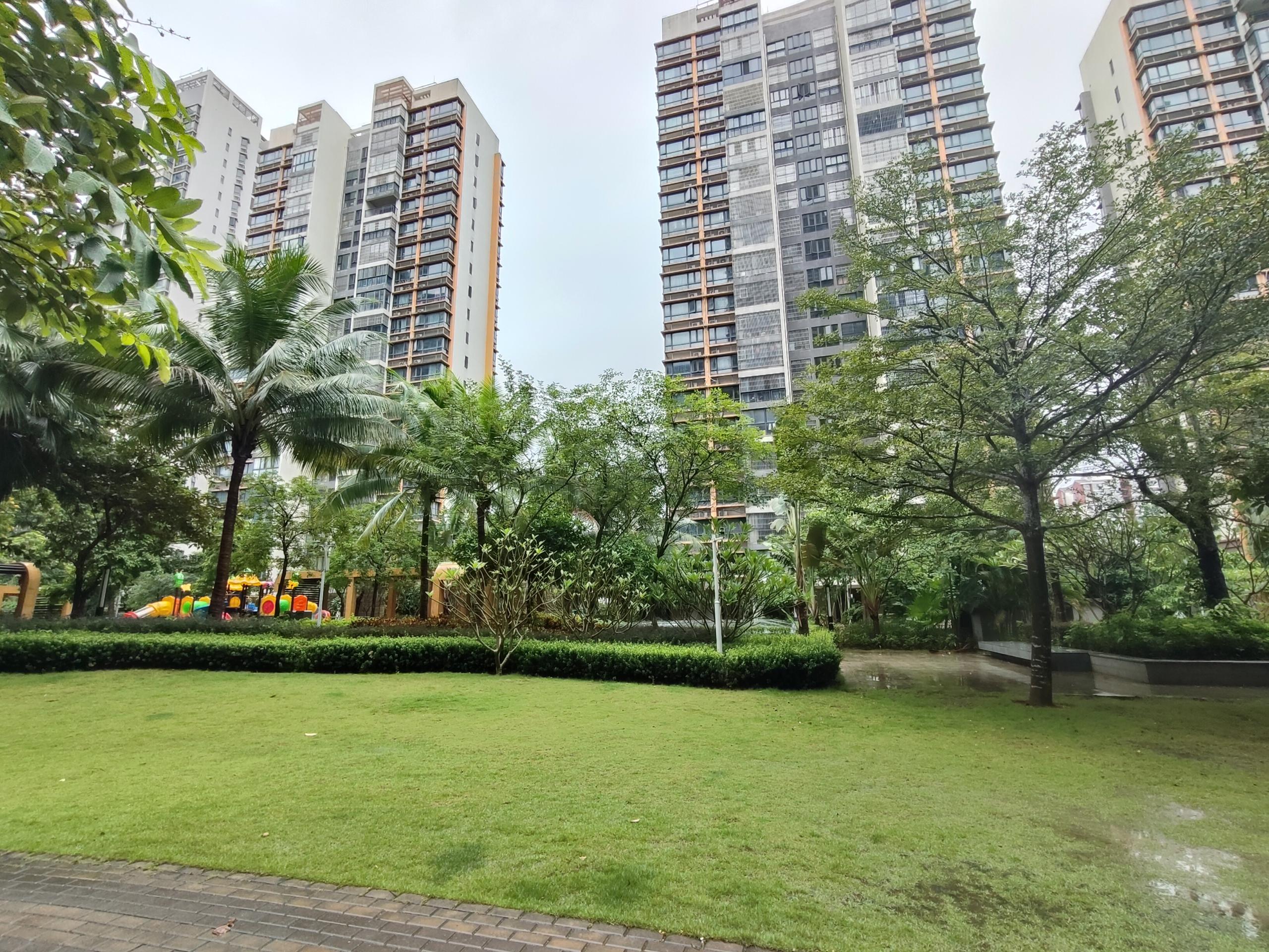 外景图