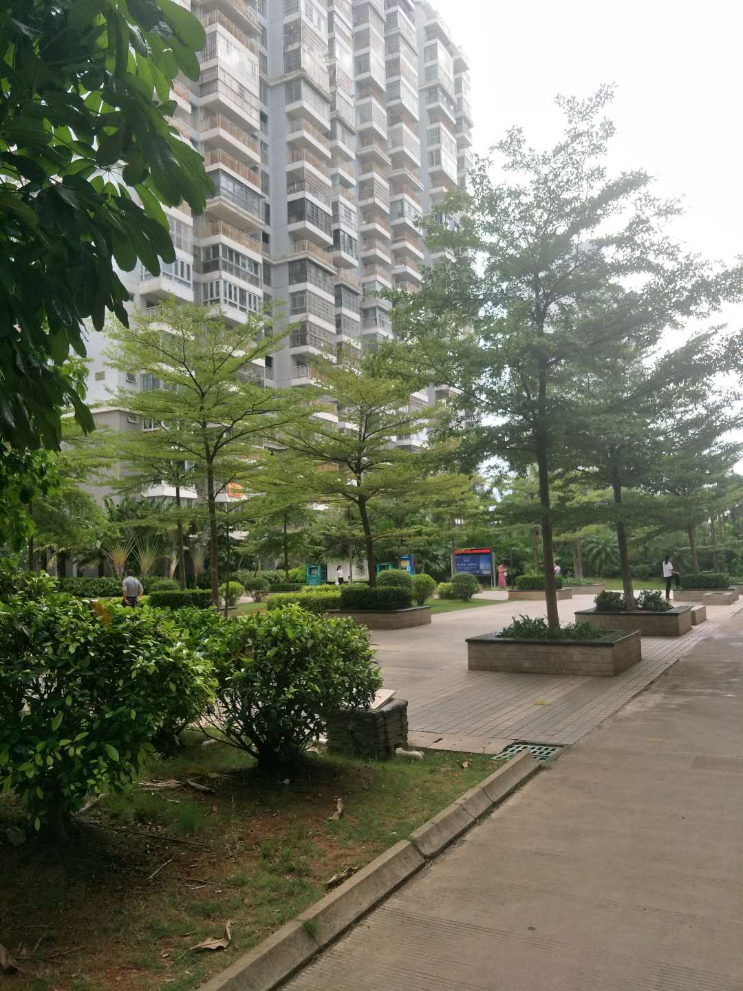 外景图
