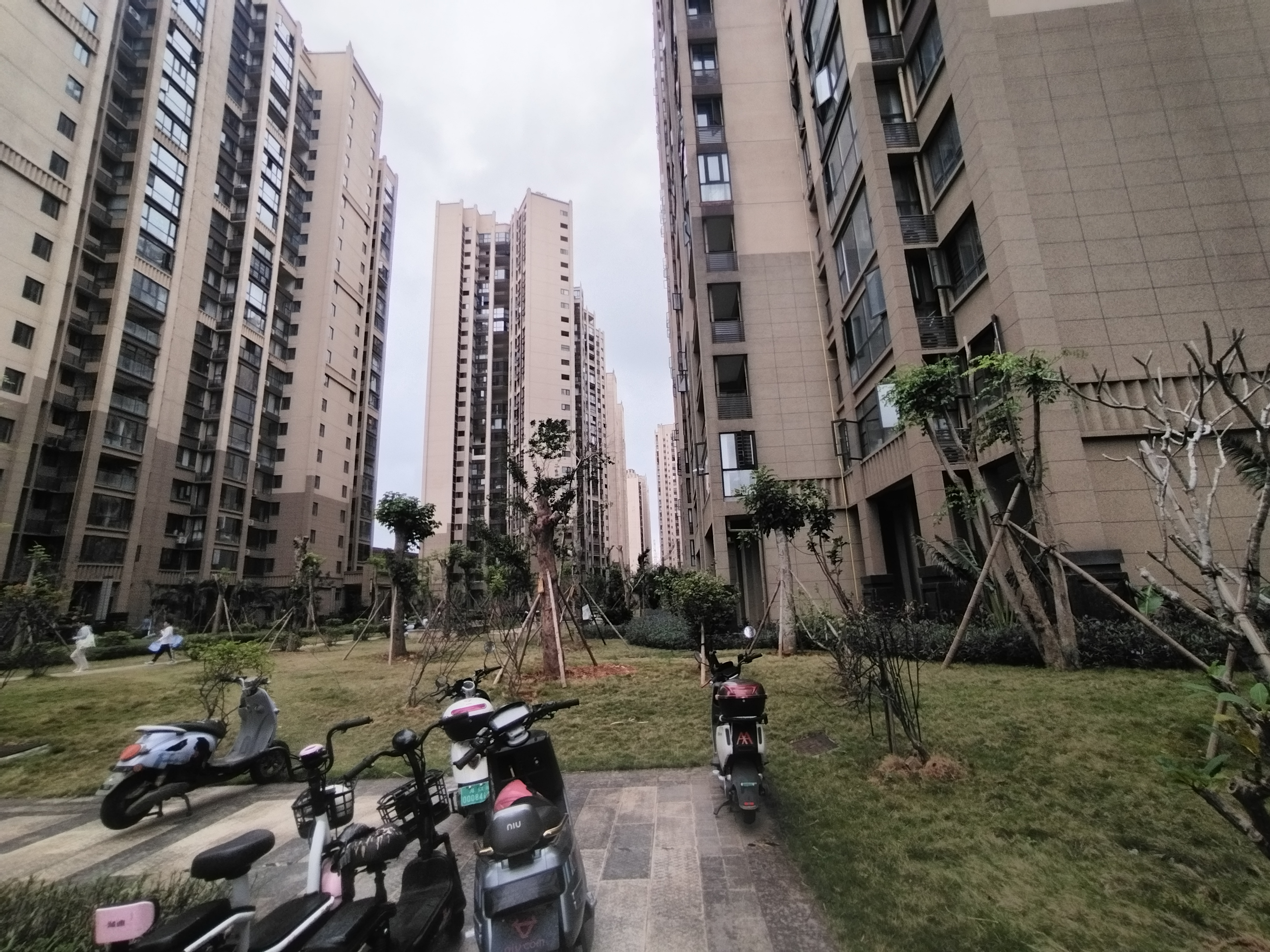 外景图