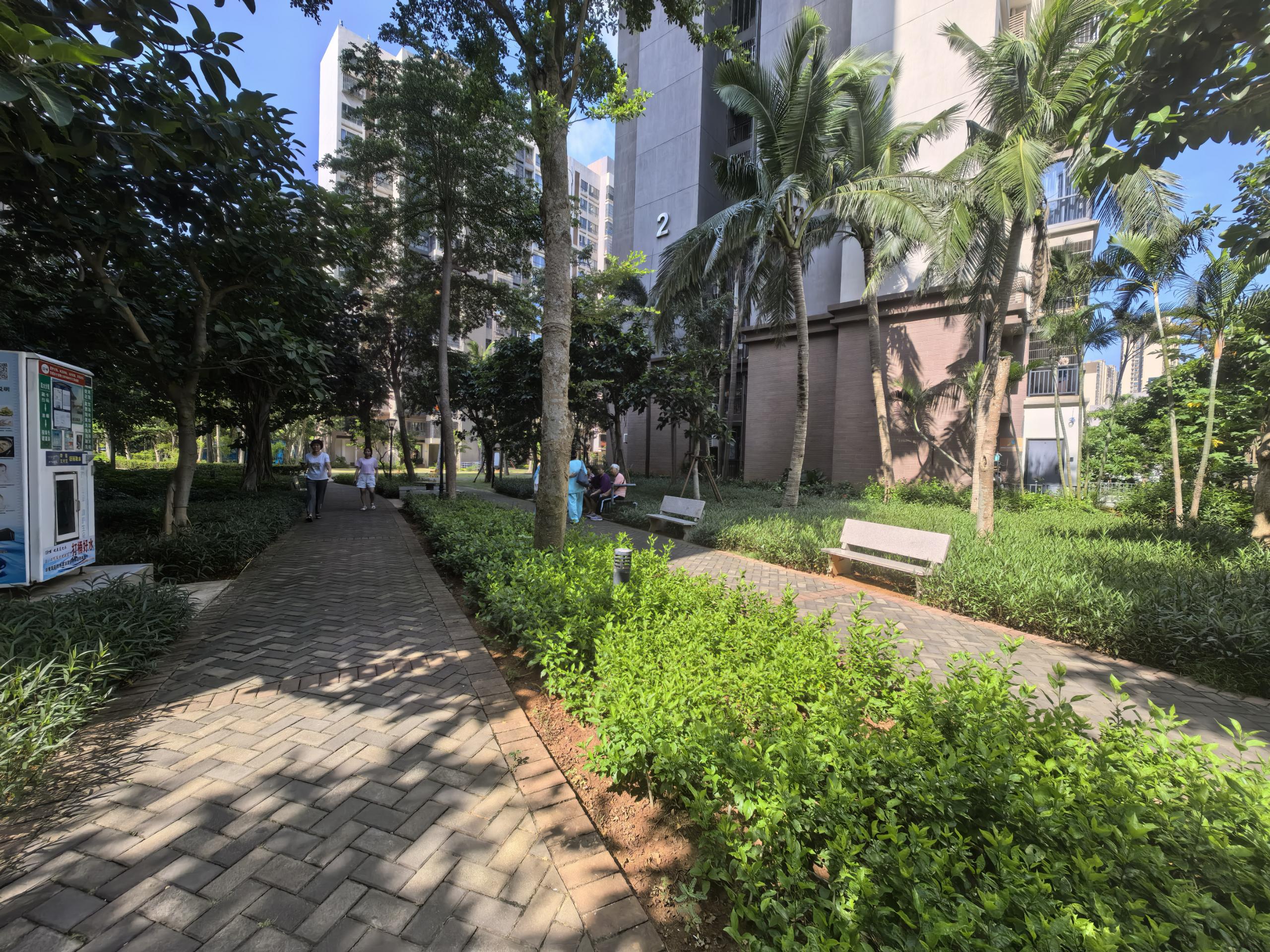 外景图