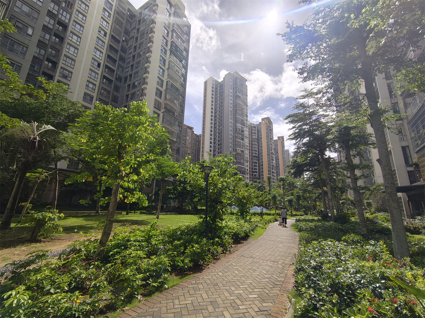 外景图