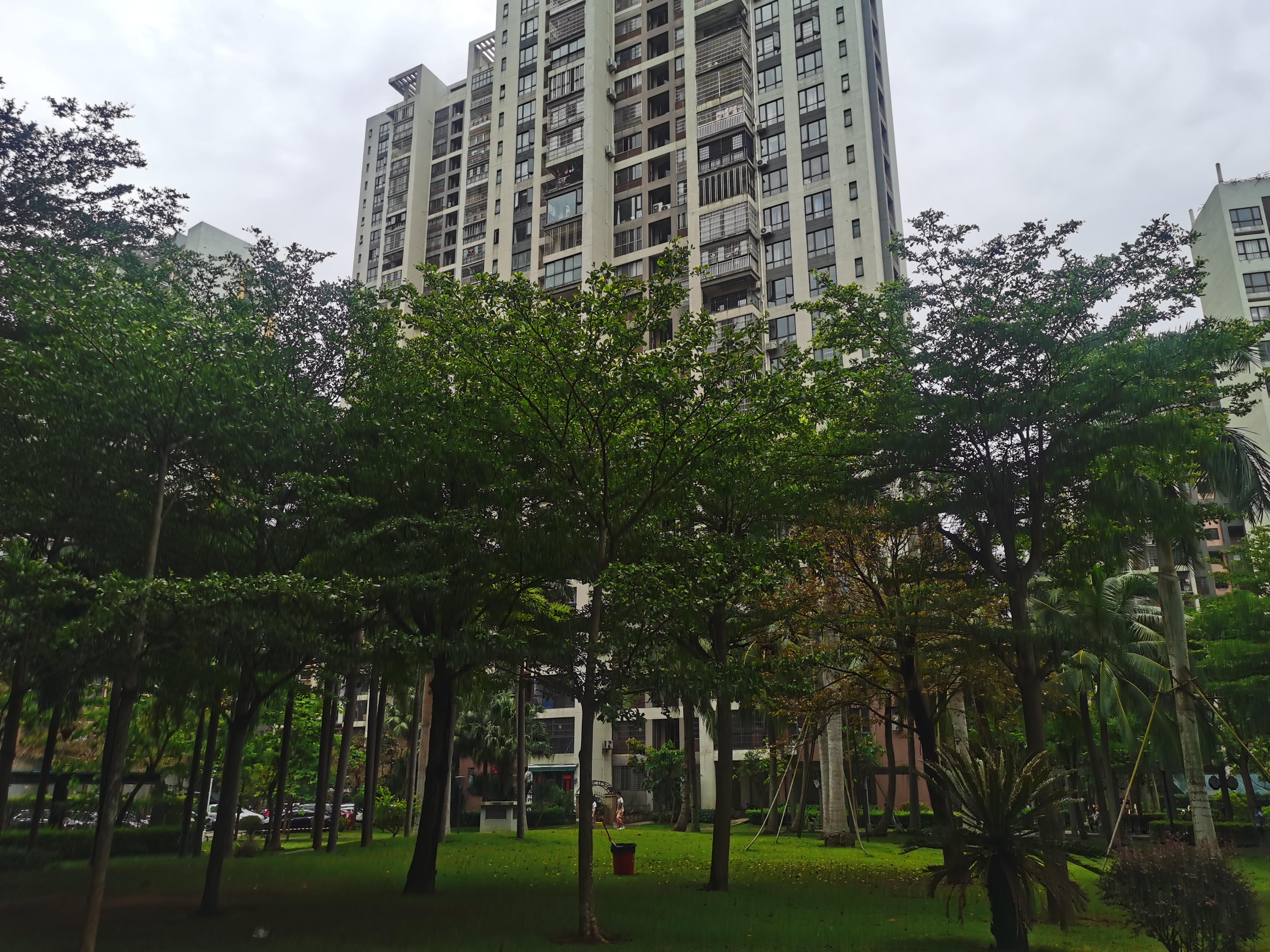 外景图