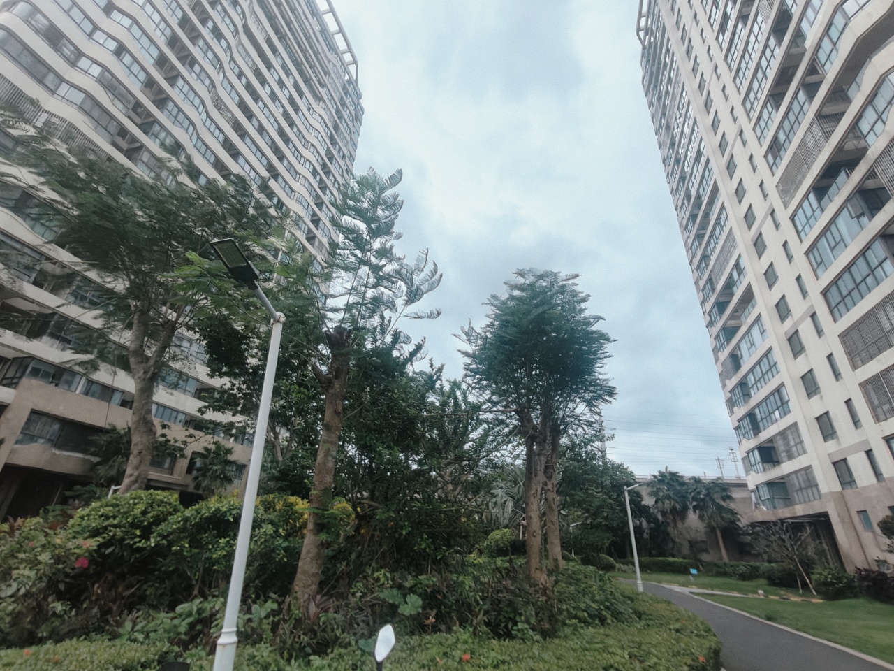 外景图