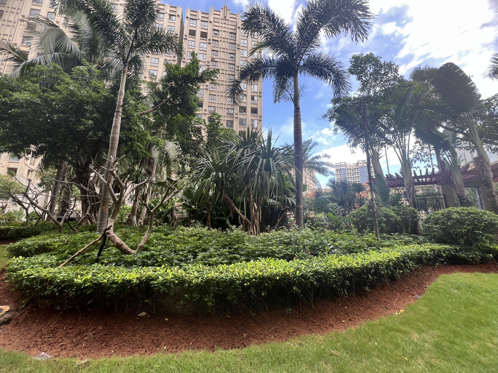 外景图