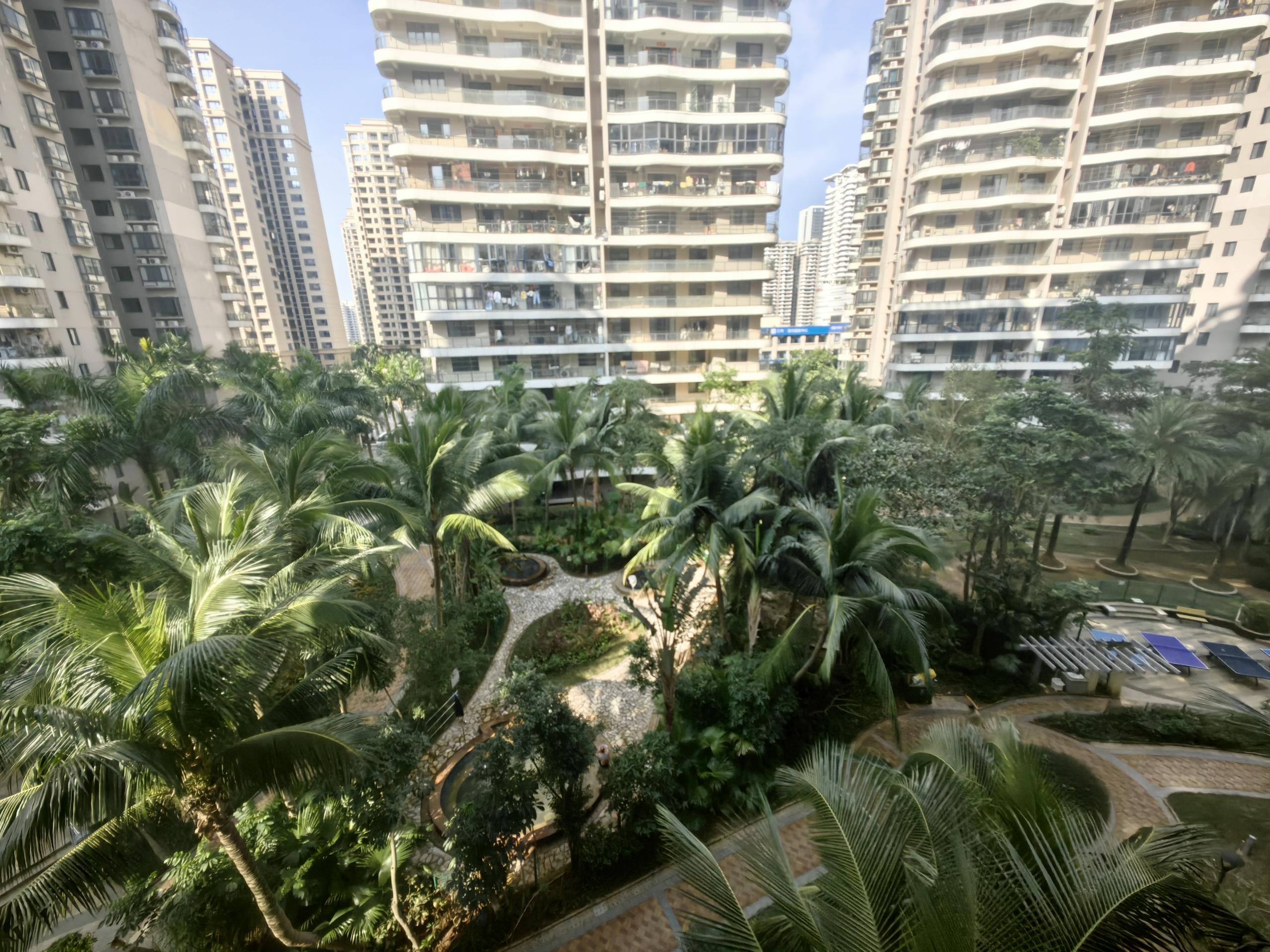外景图