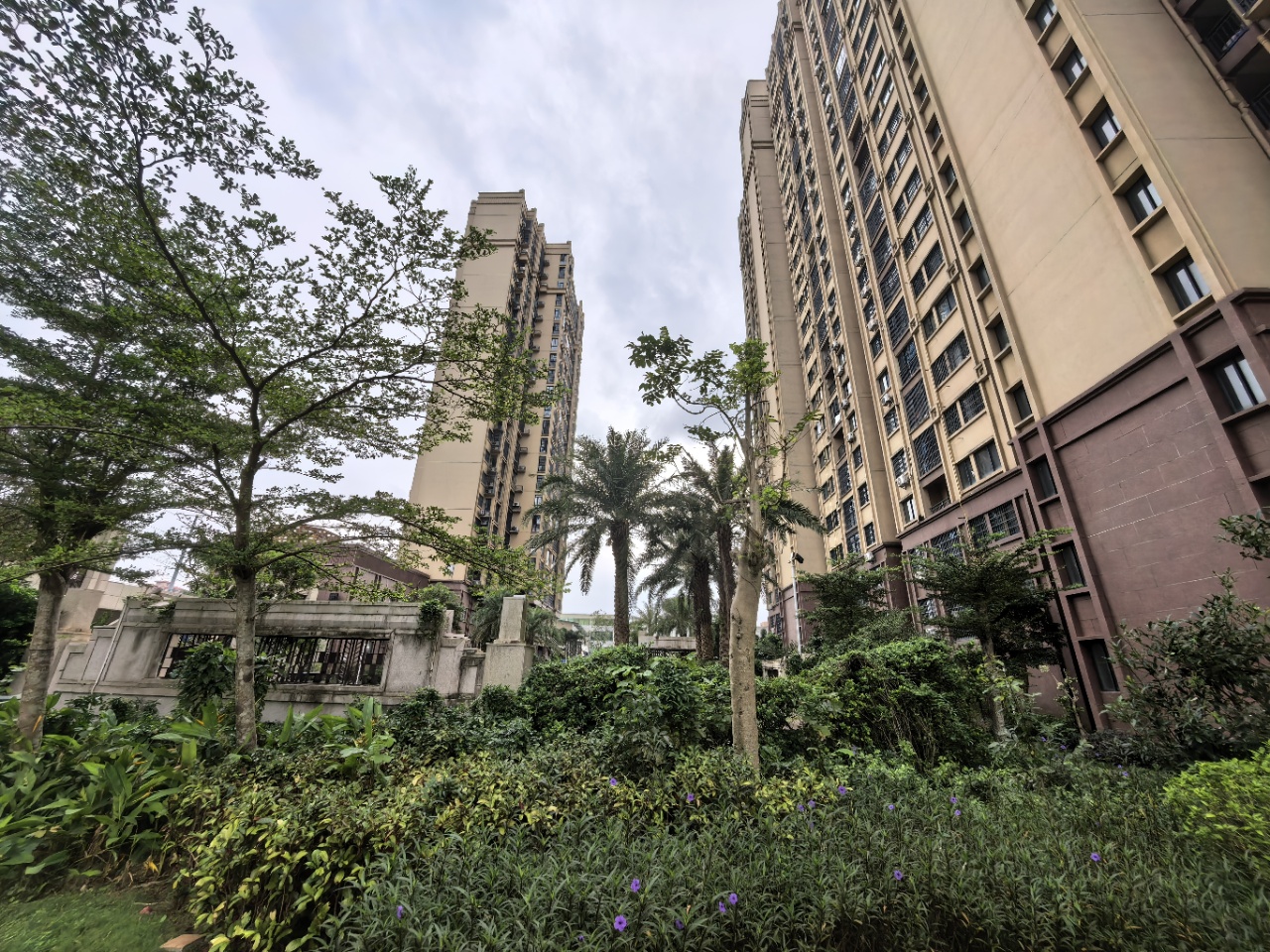 外景图