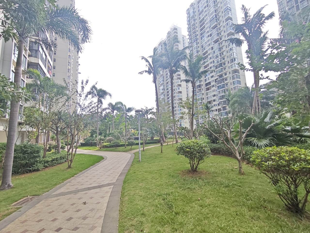 外景图