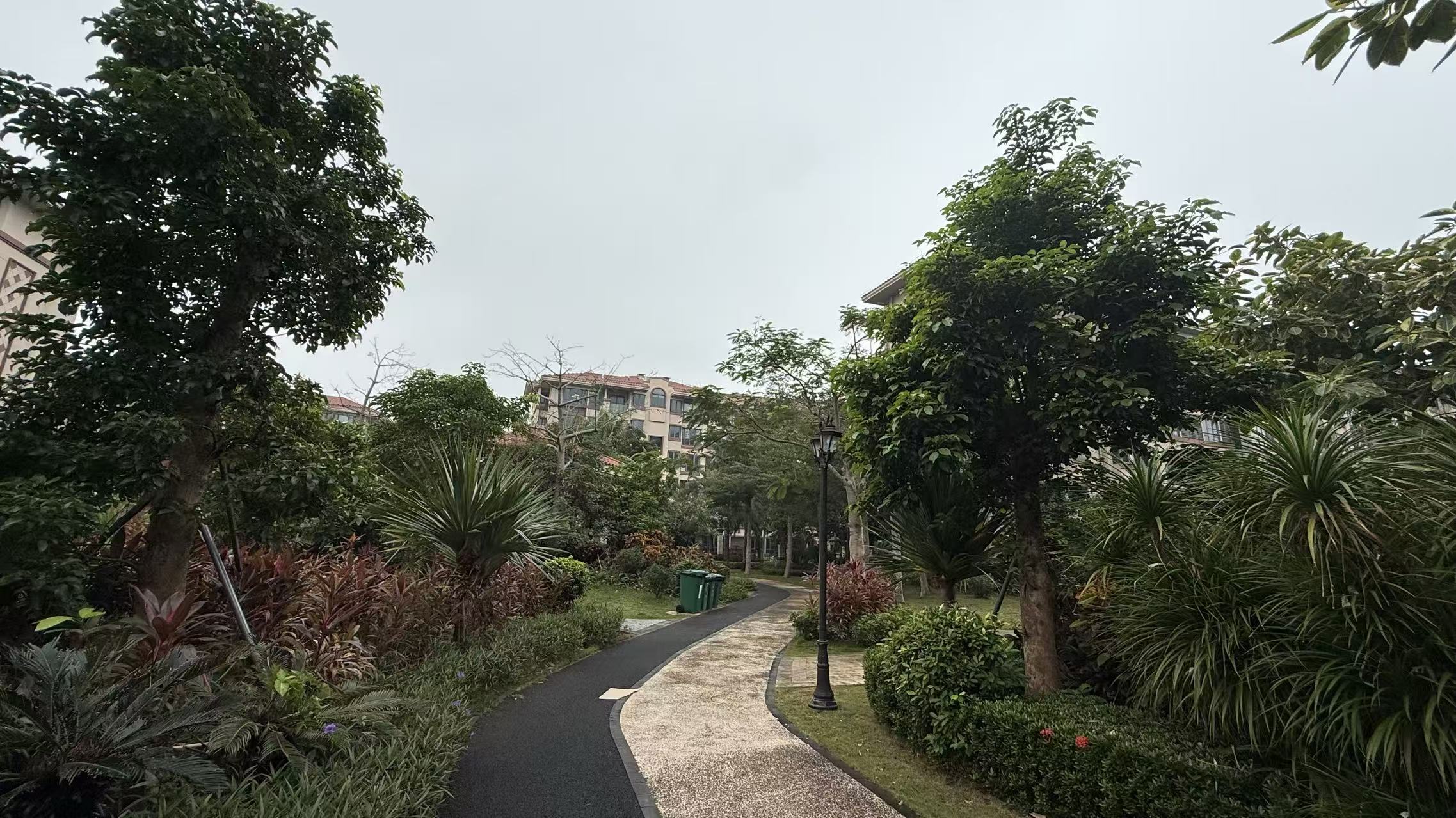 外景图