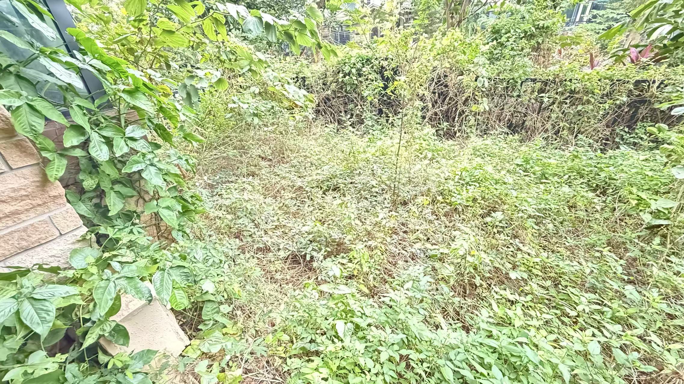 其它