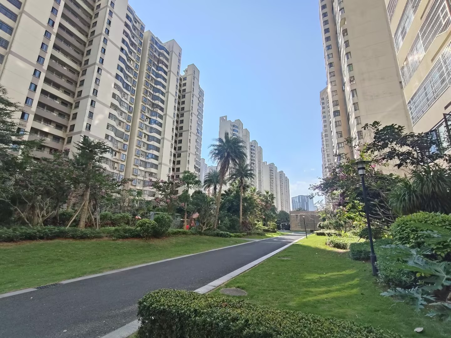 外景图