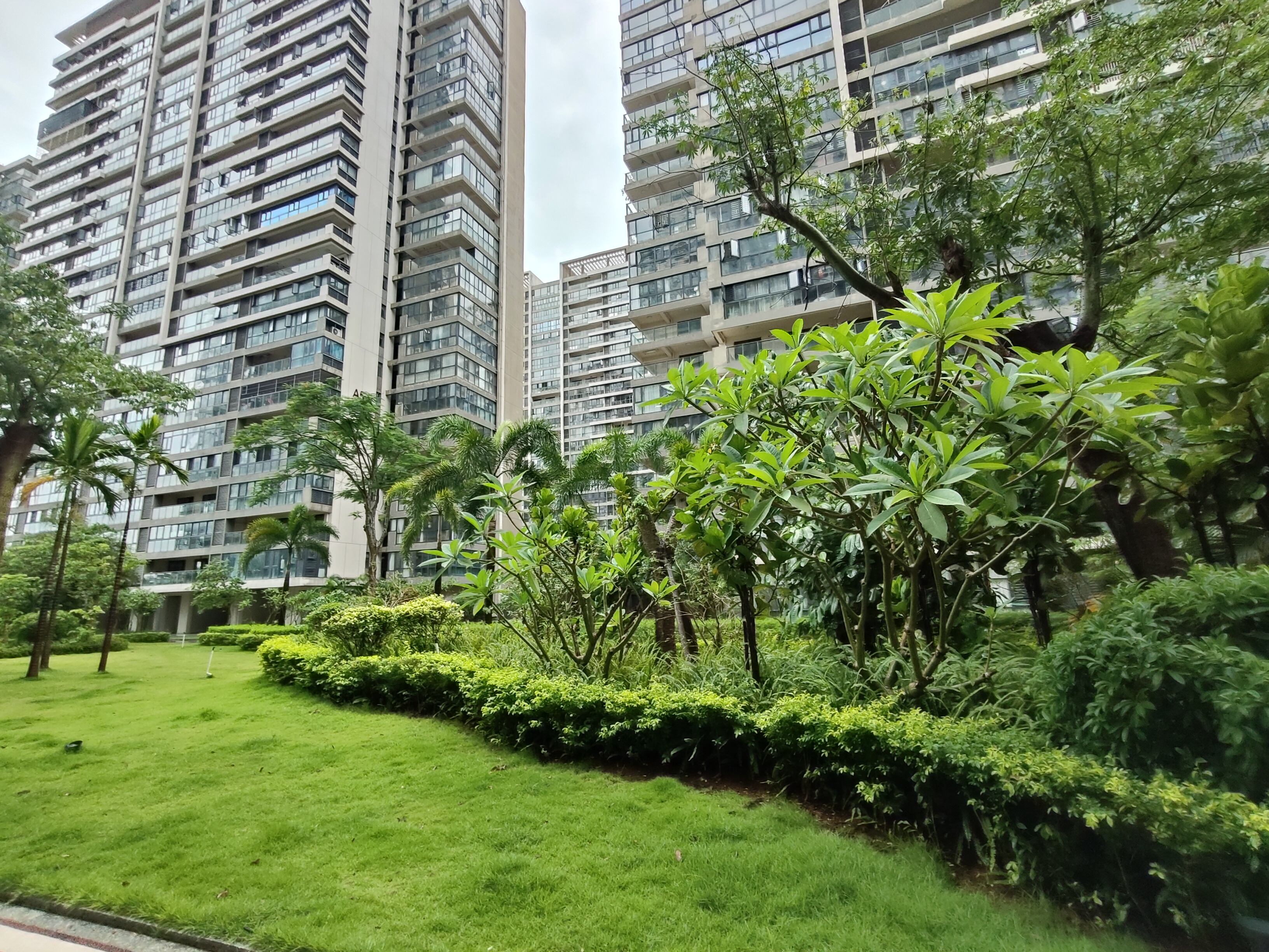 外景图