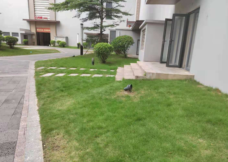 外景图