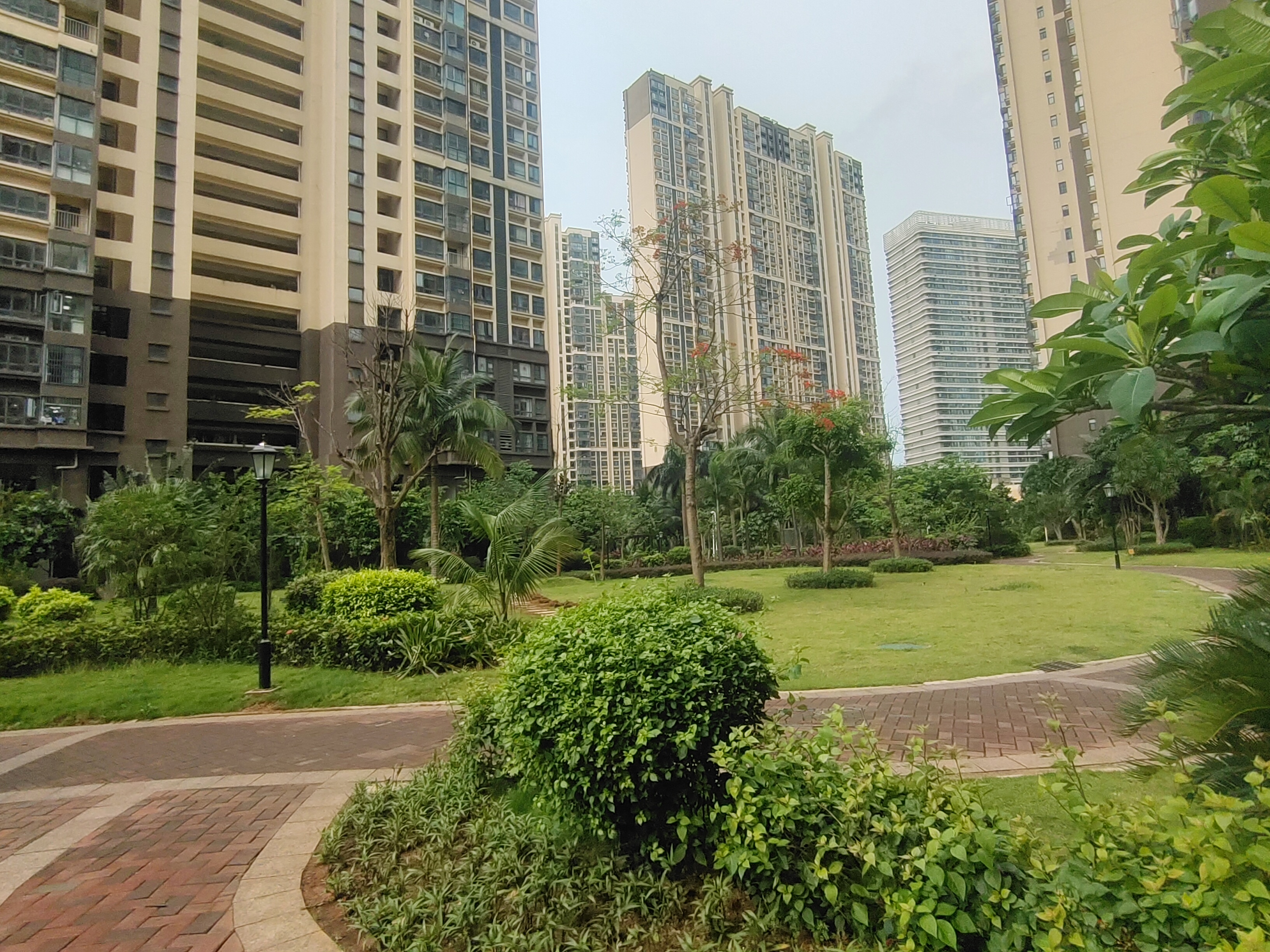 外景图