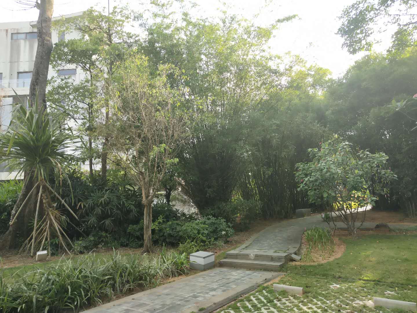 外景图