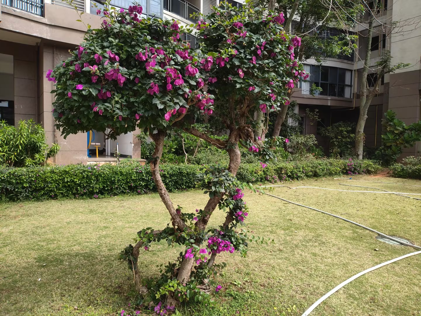 其它