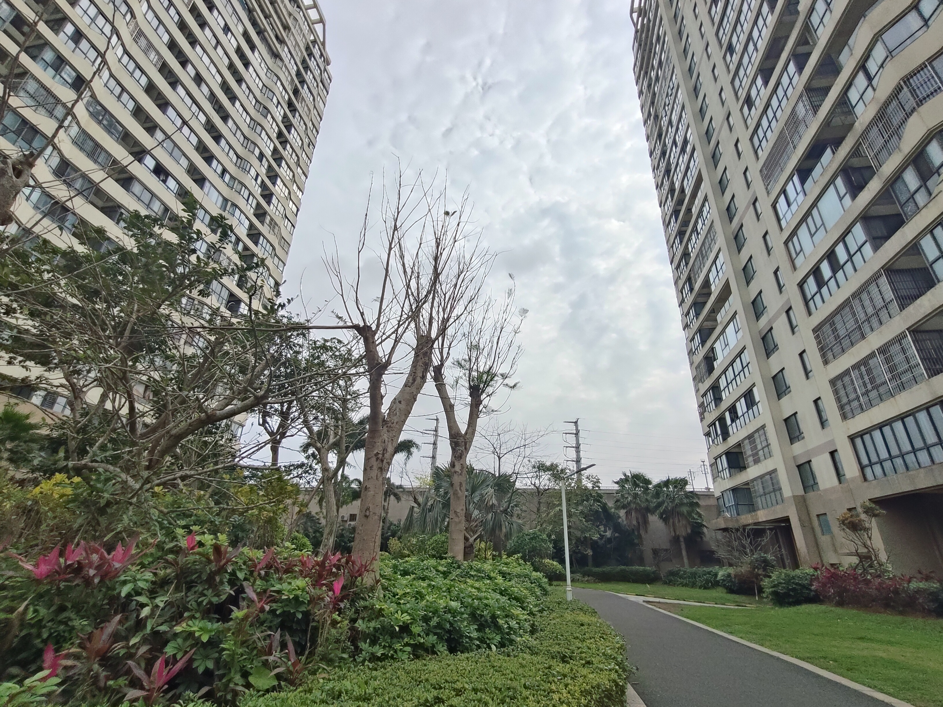 外景图