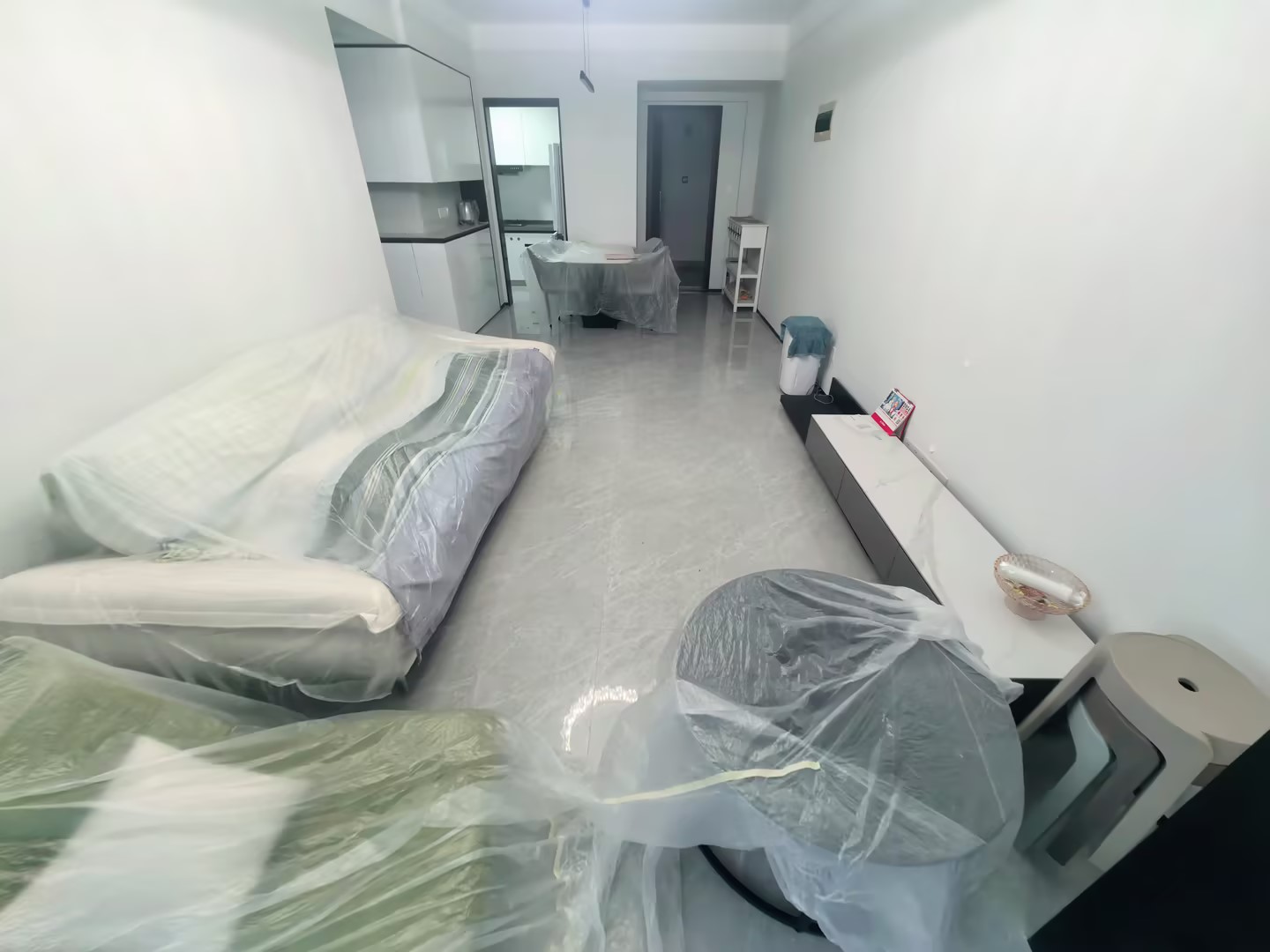 客厅1
