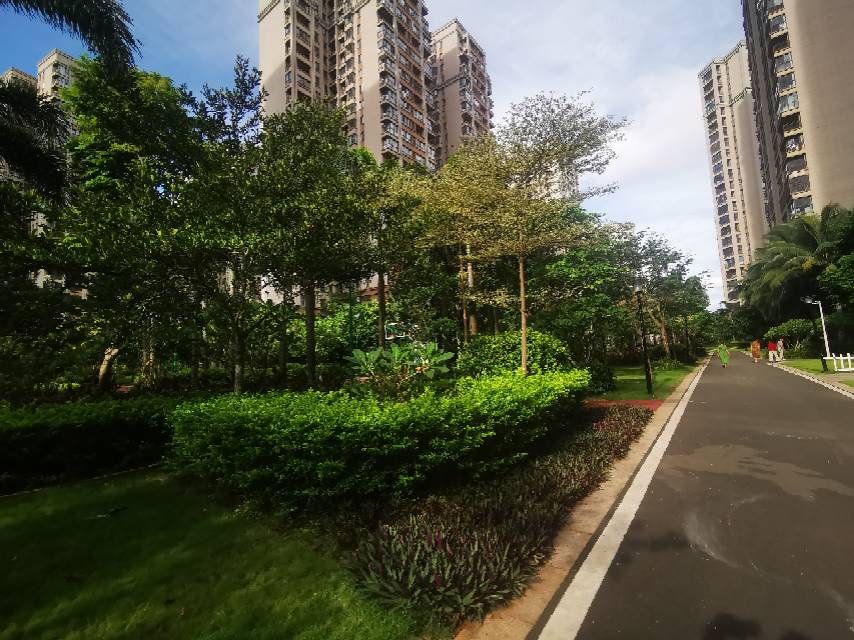 外景图