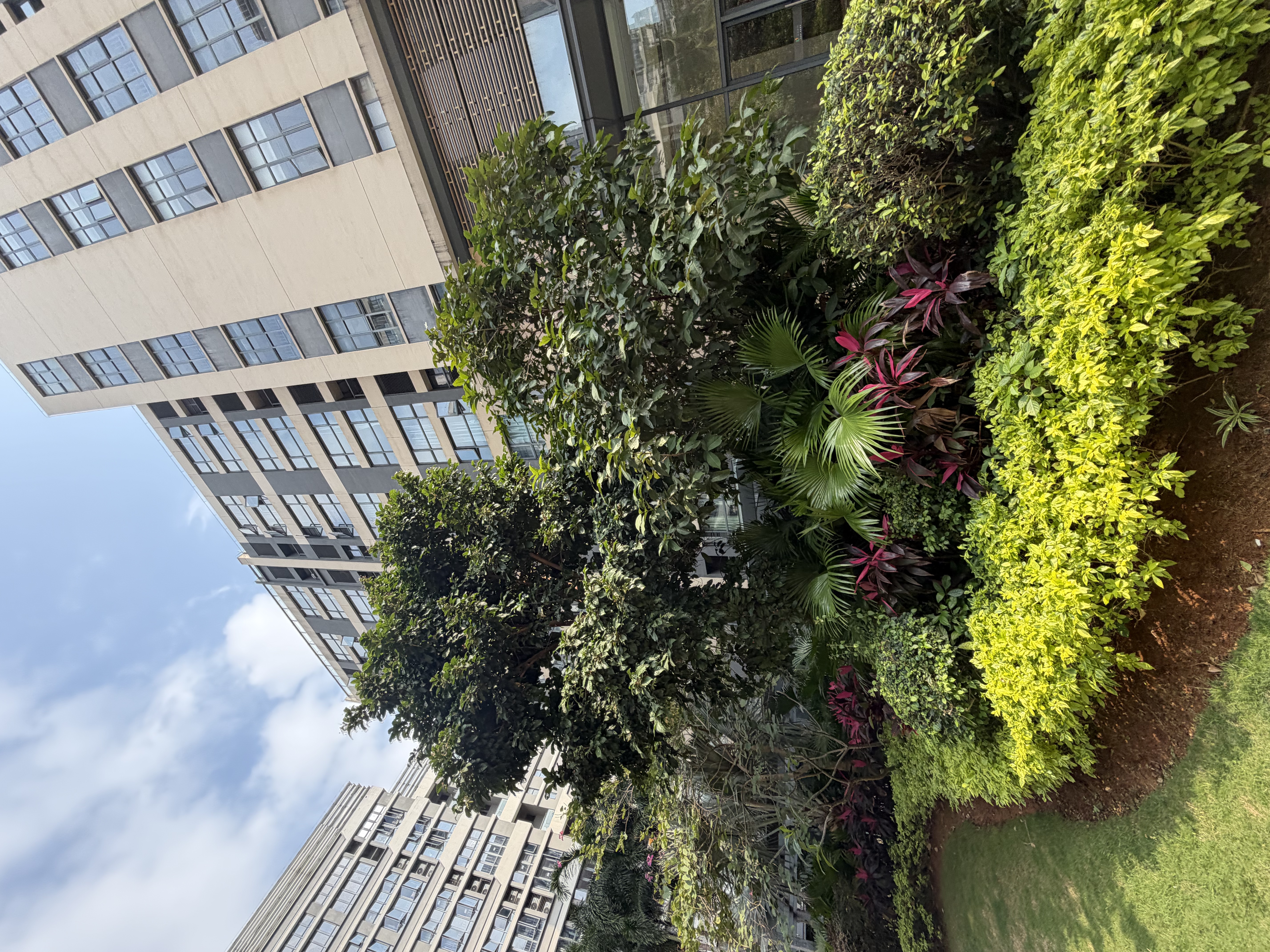 外景图
