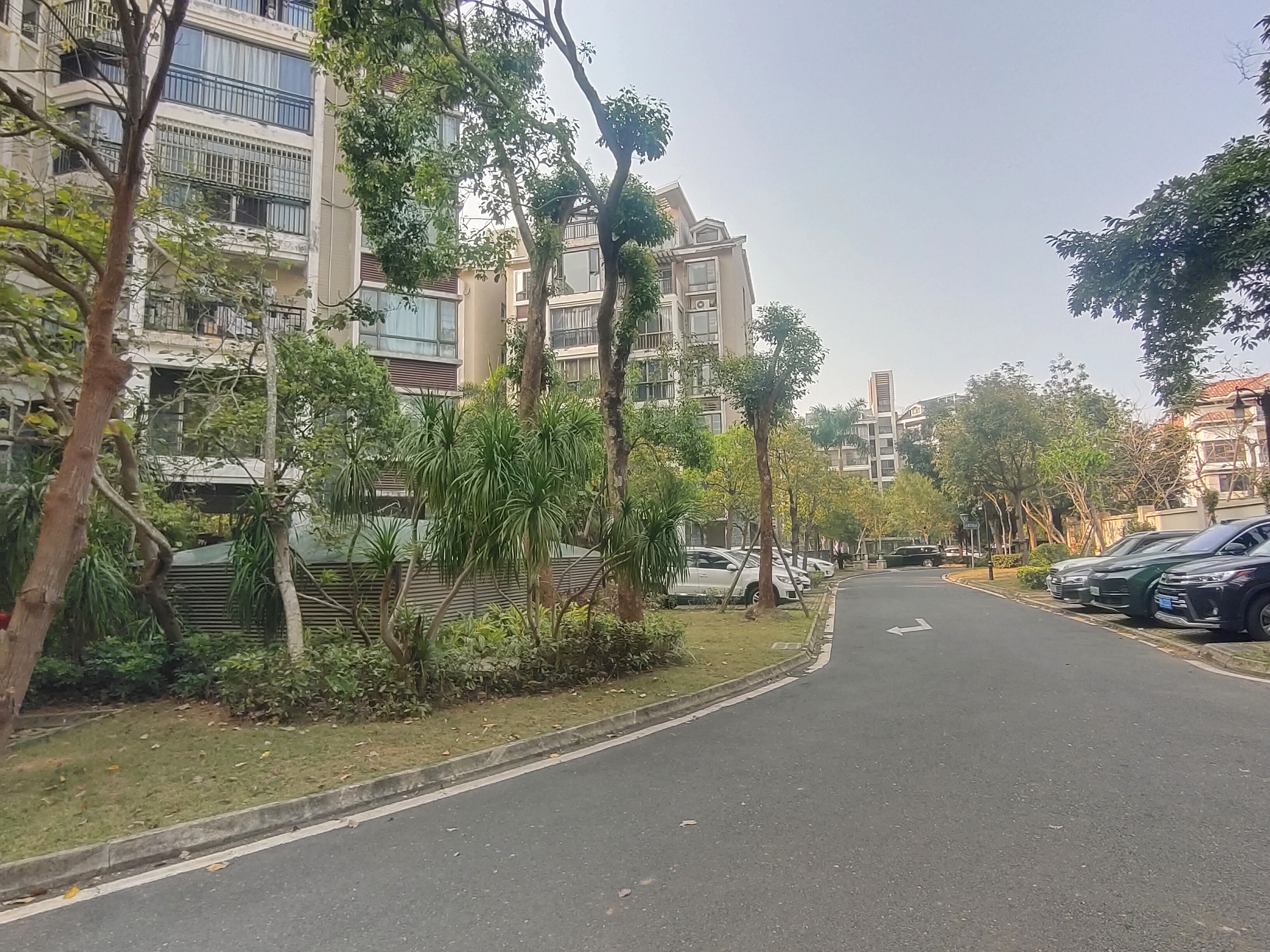 外景图
