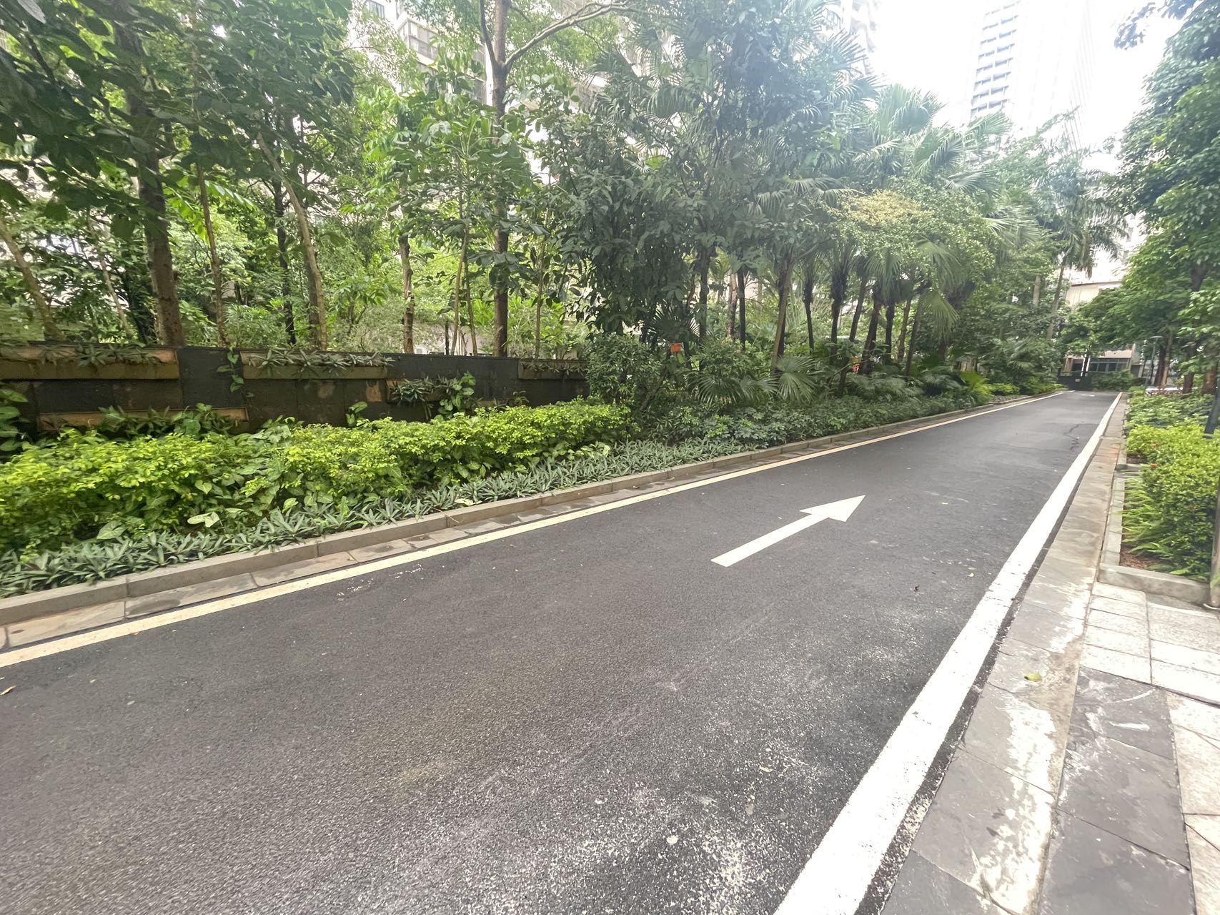 外景图