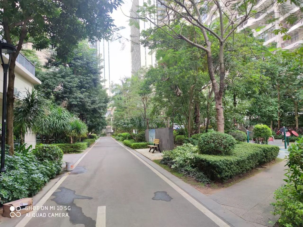 外景图