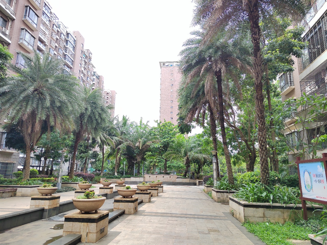 外景图