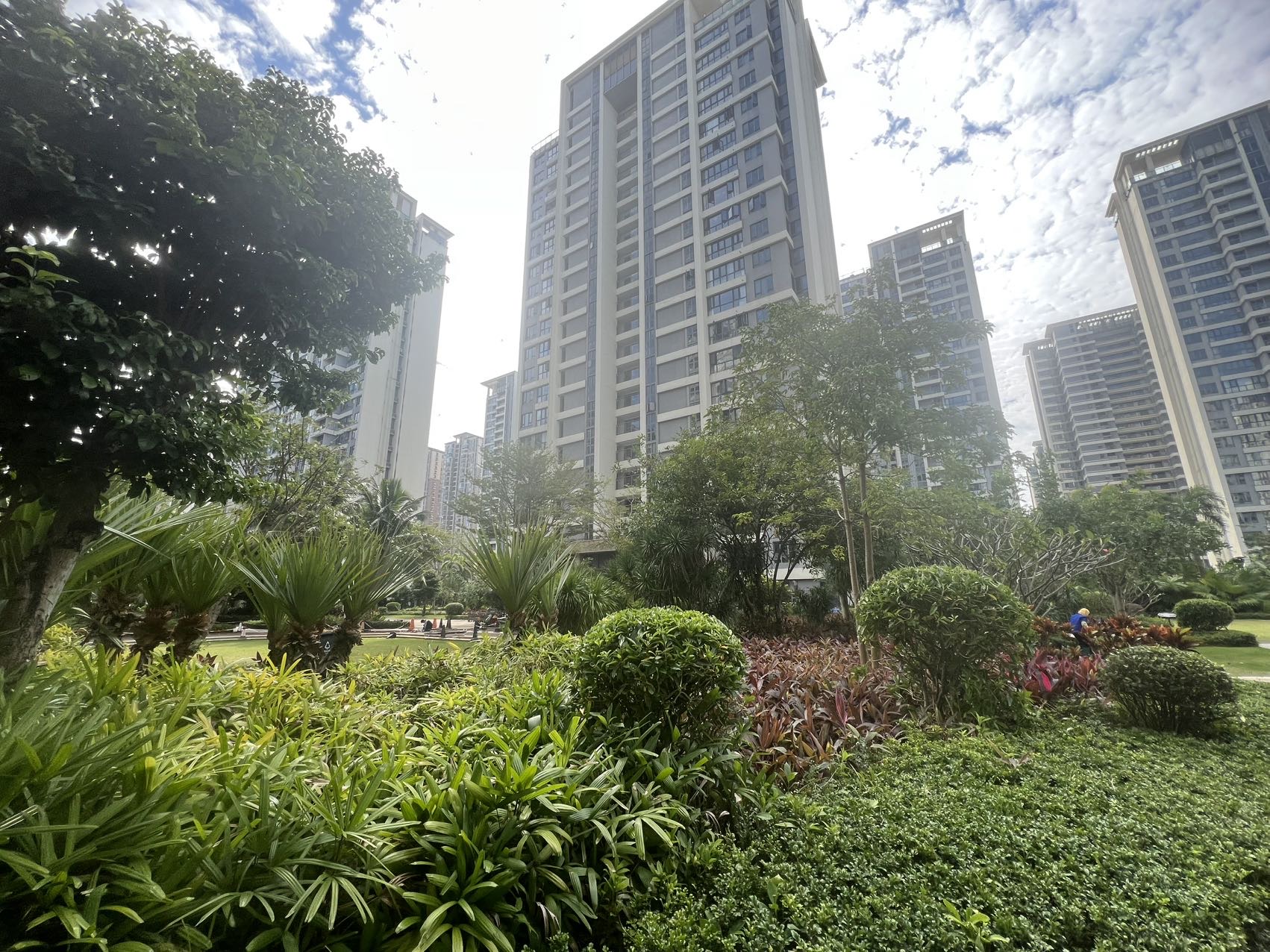 外景图