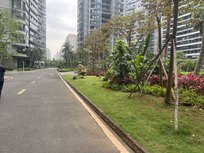 外景图