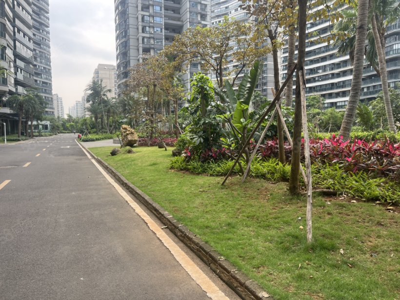 外景图