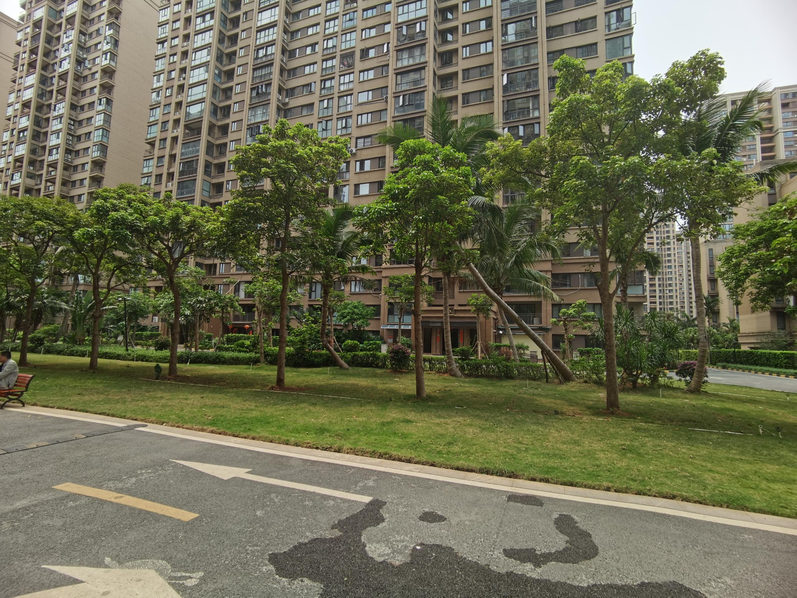 外景图