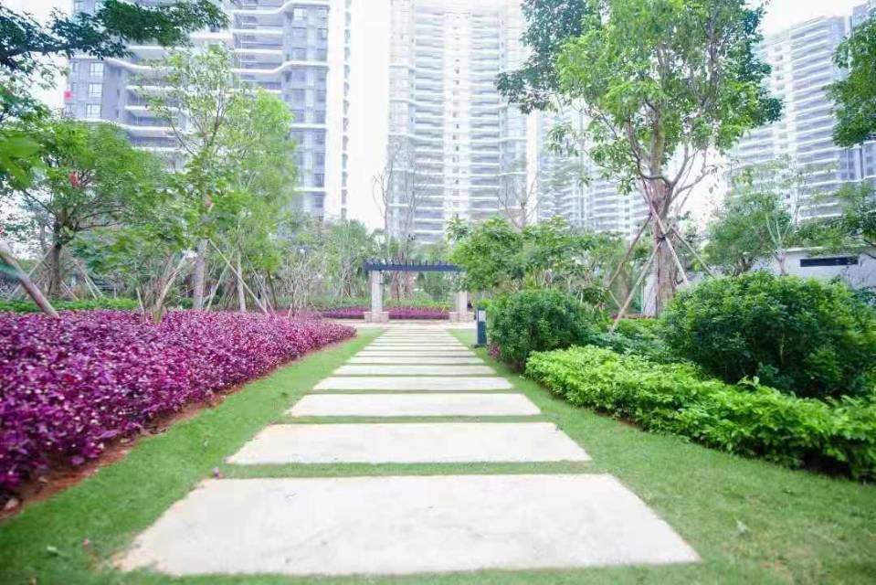 外景图
