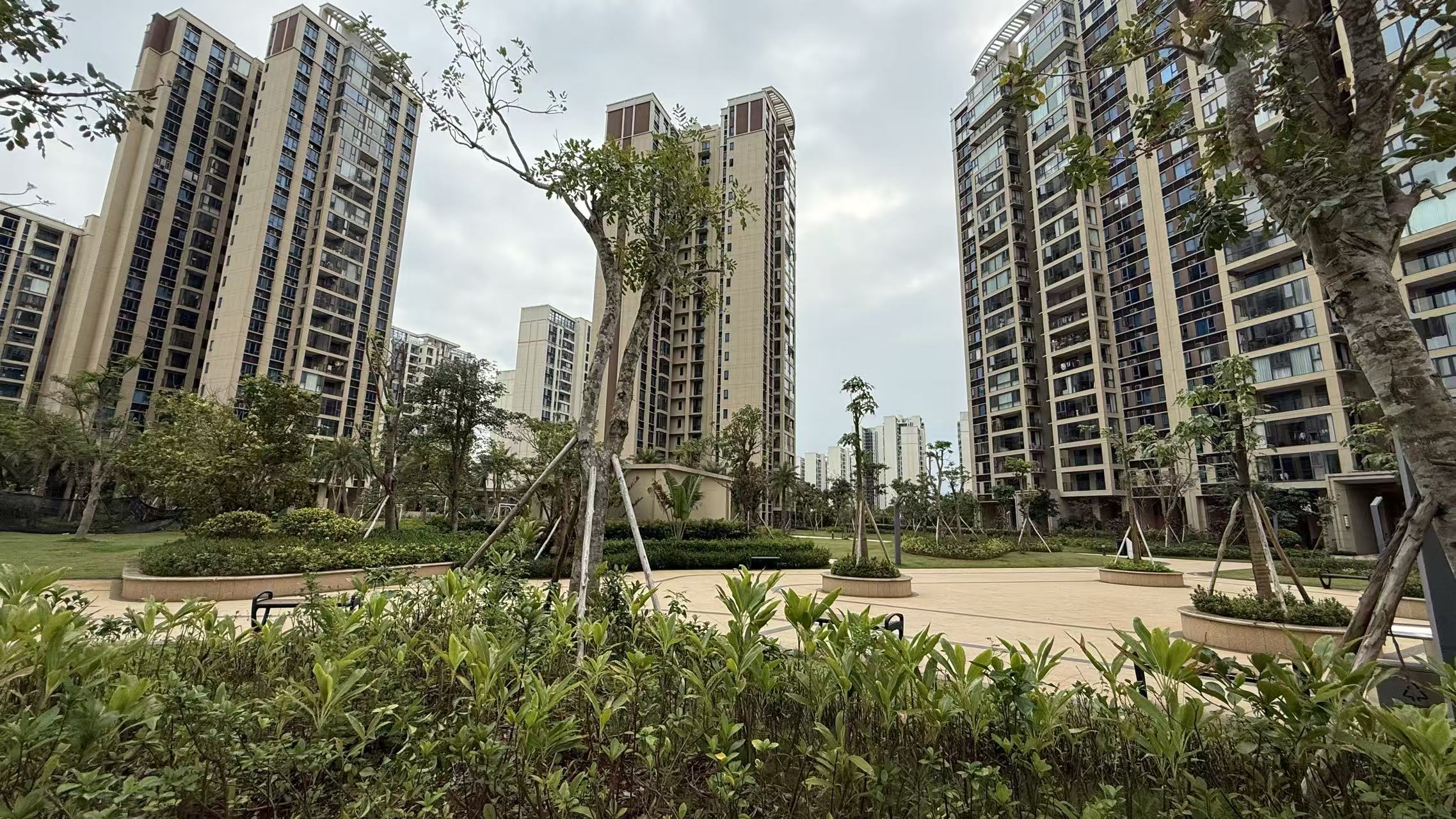 外景图