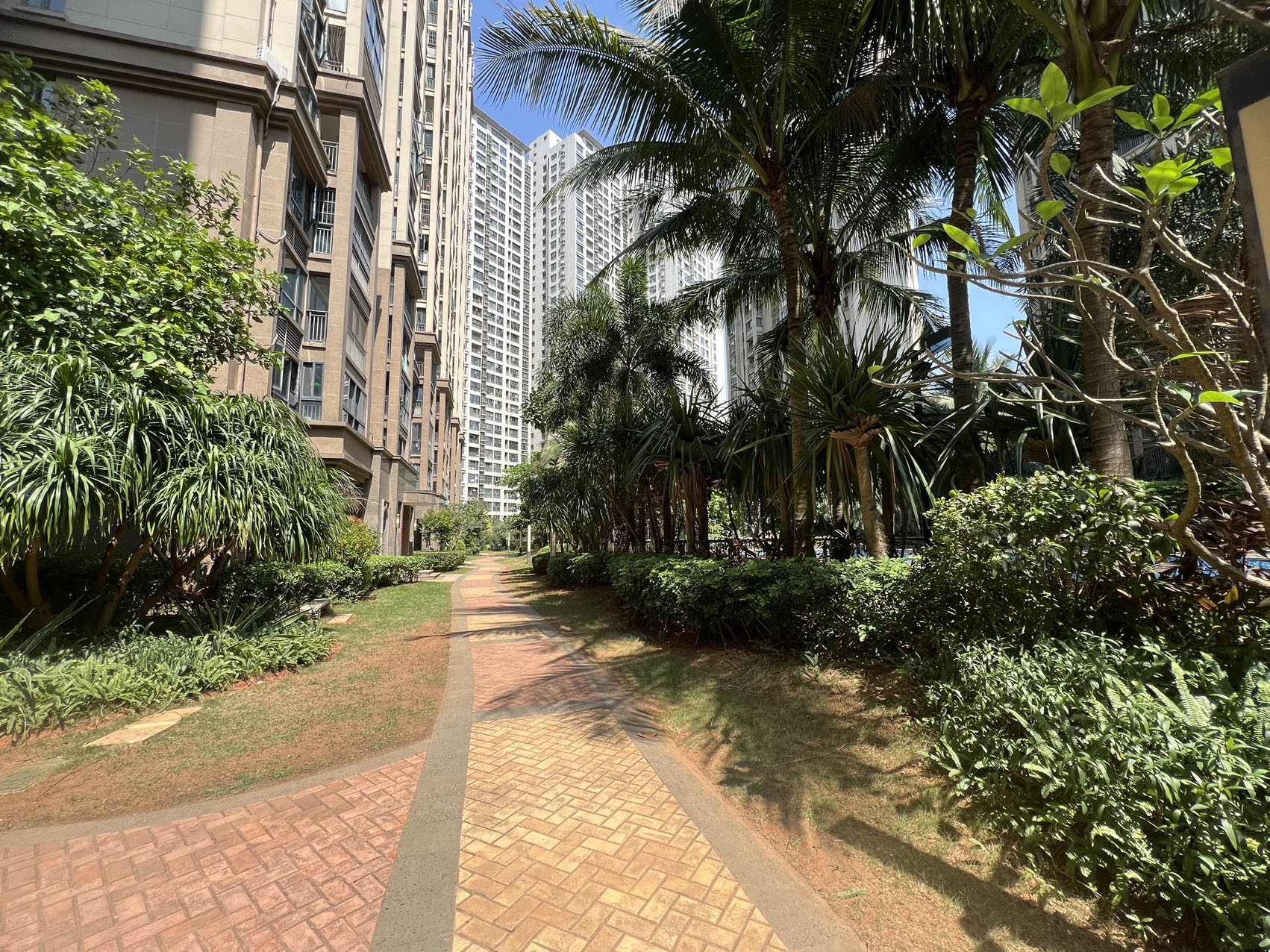 外景图