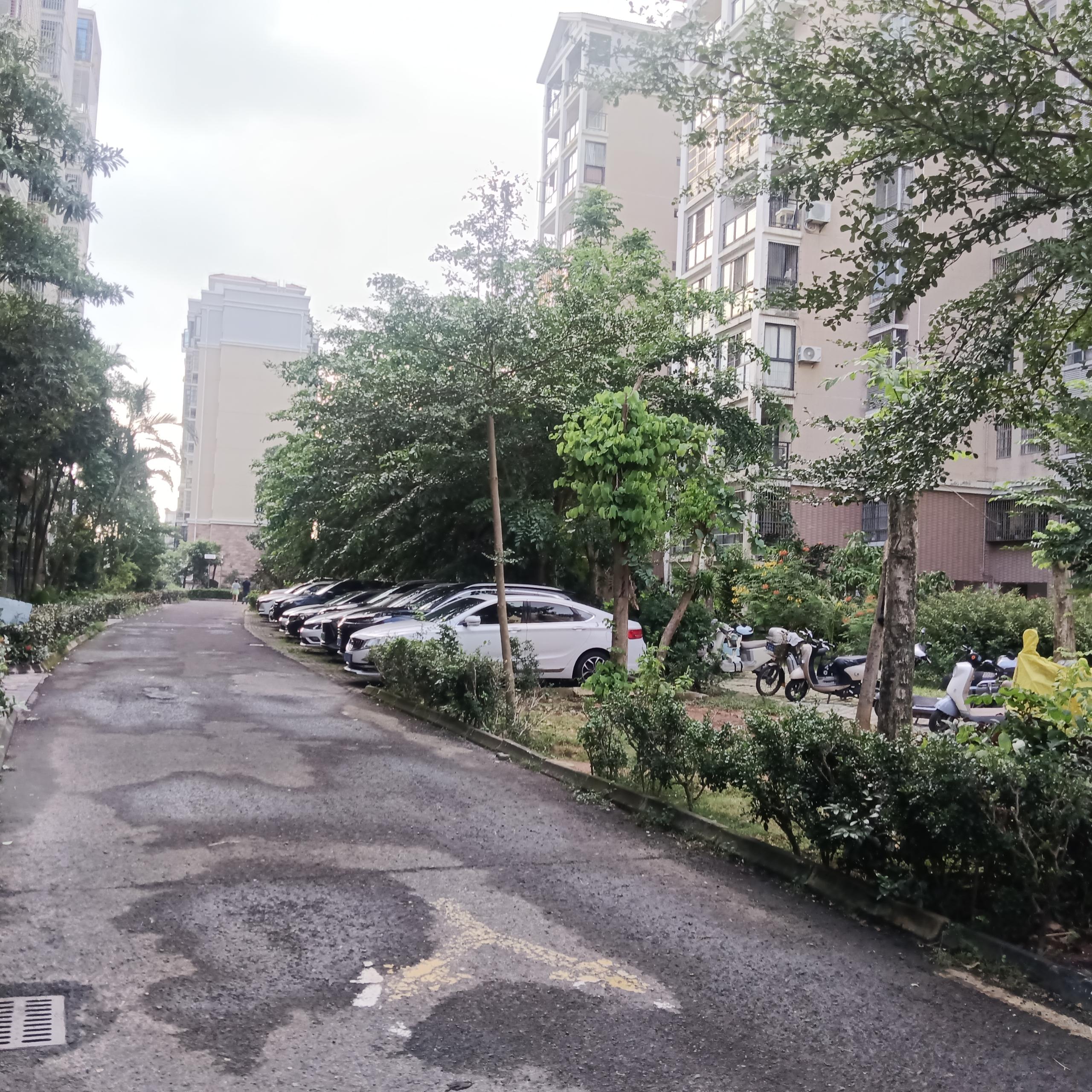 外景图