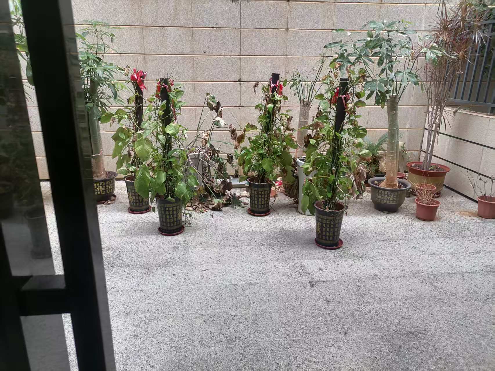 阳台