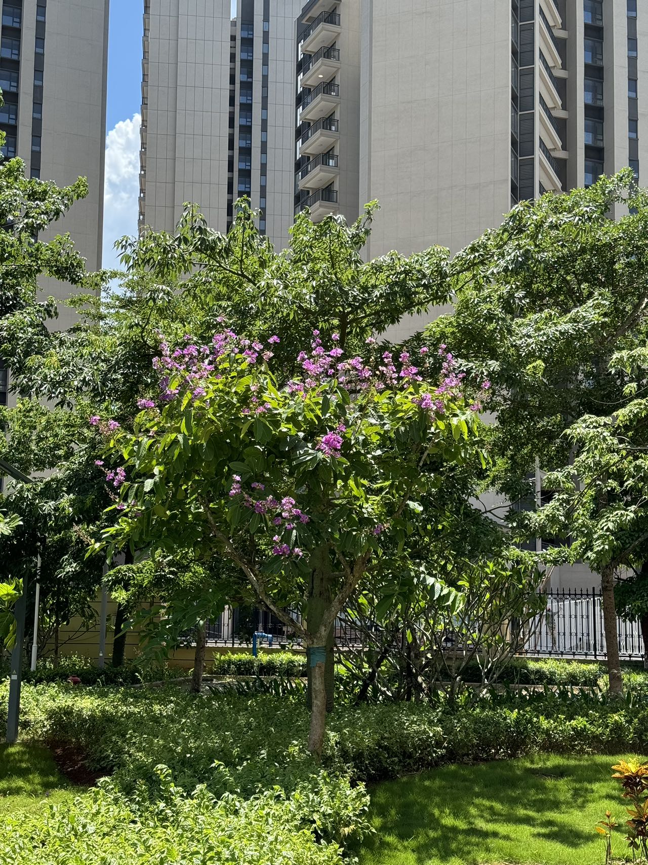 外景图