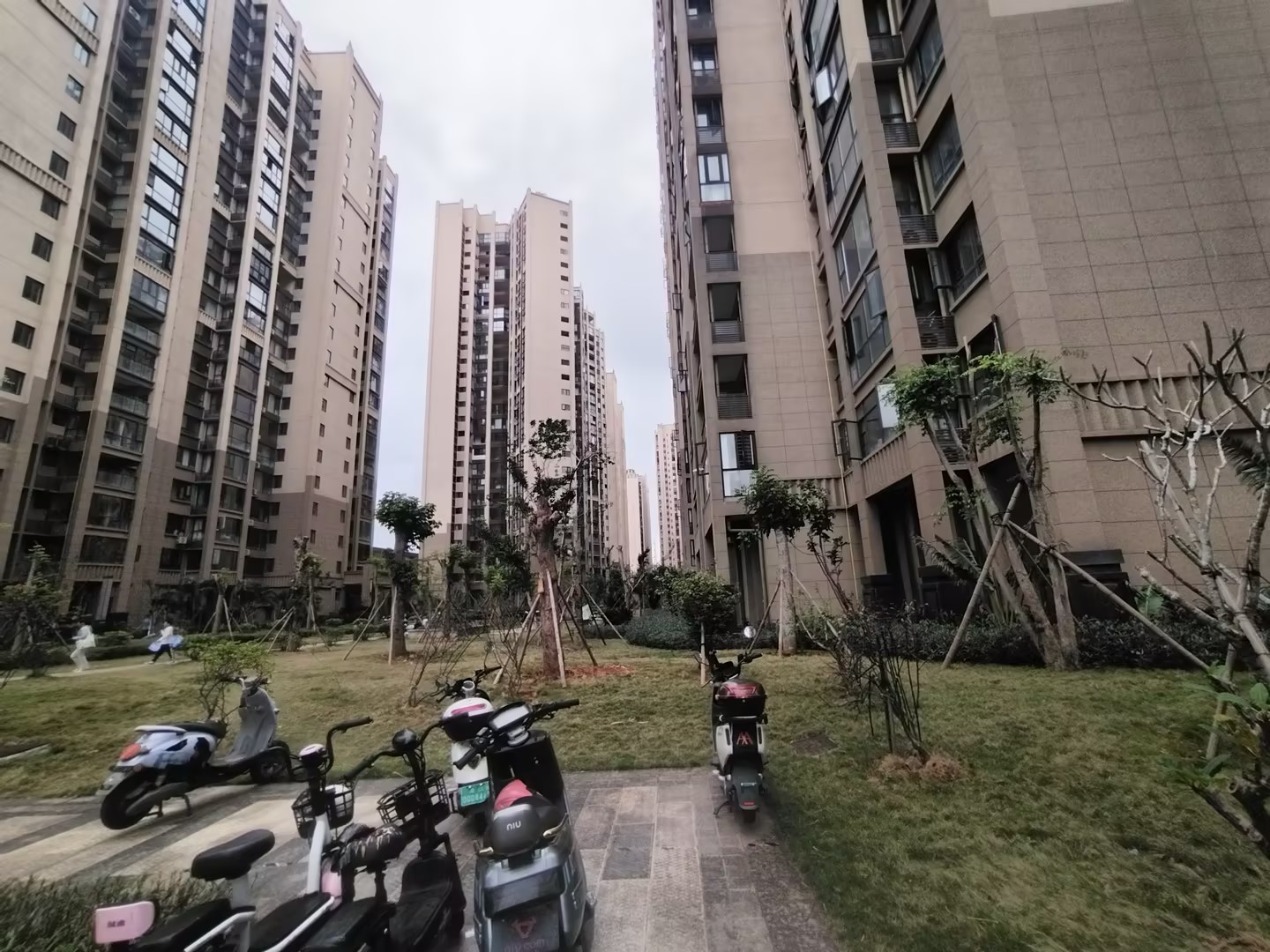 外景图