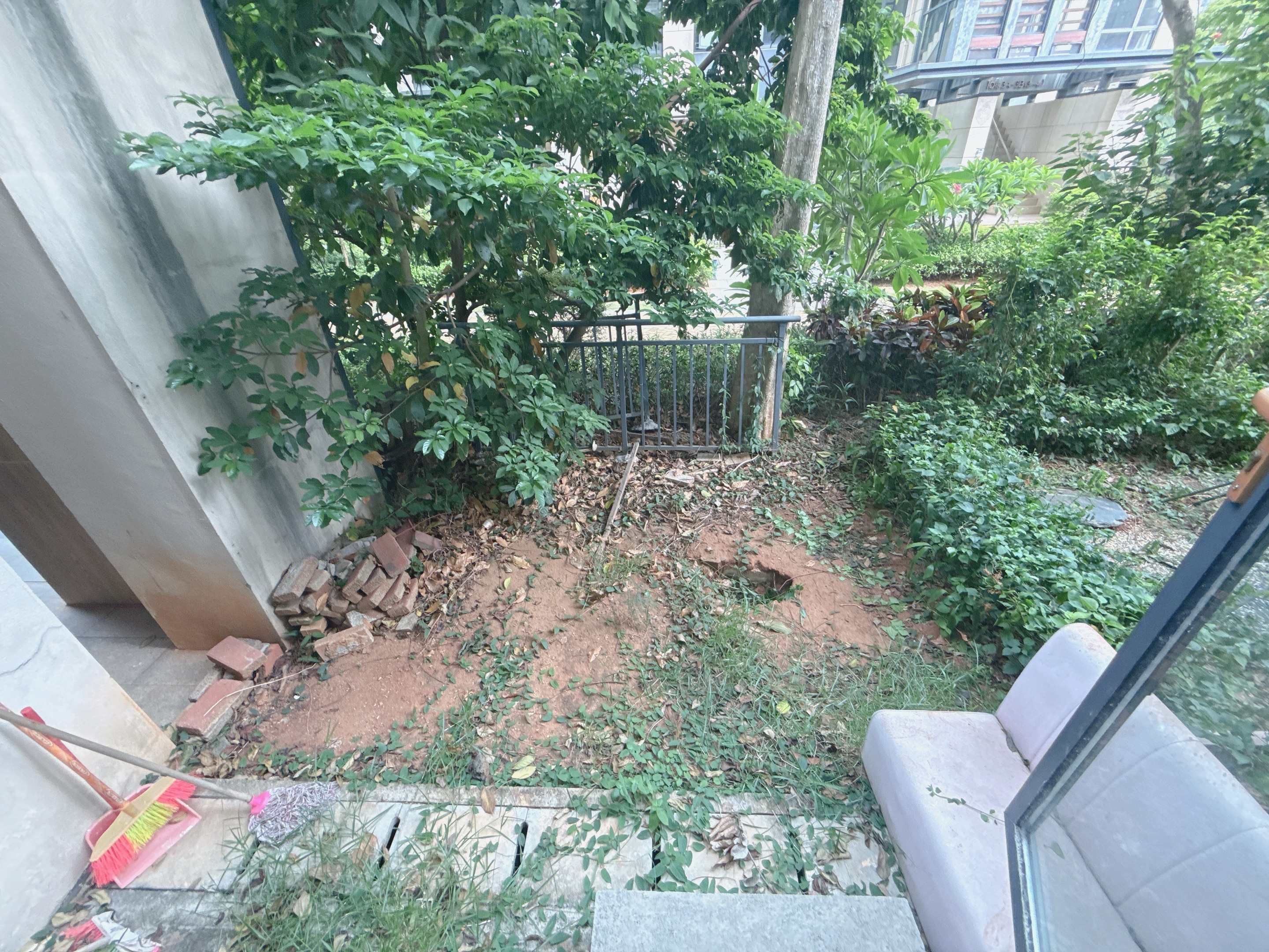 外景图