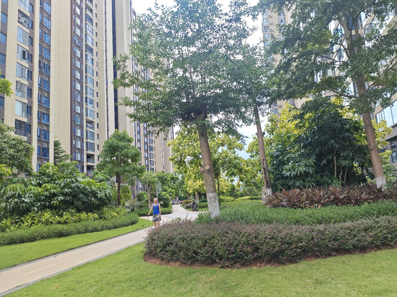 外景图