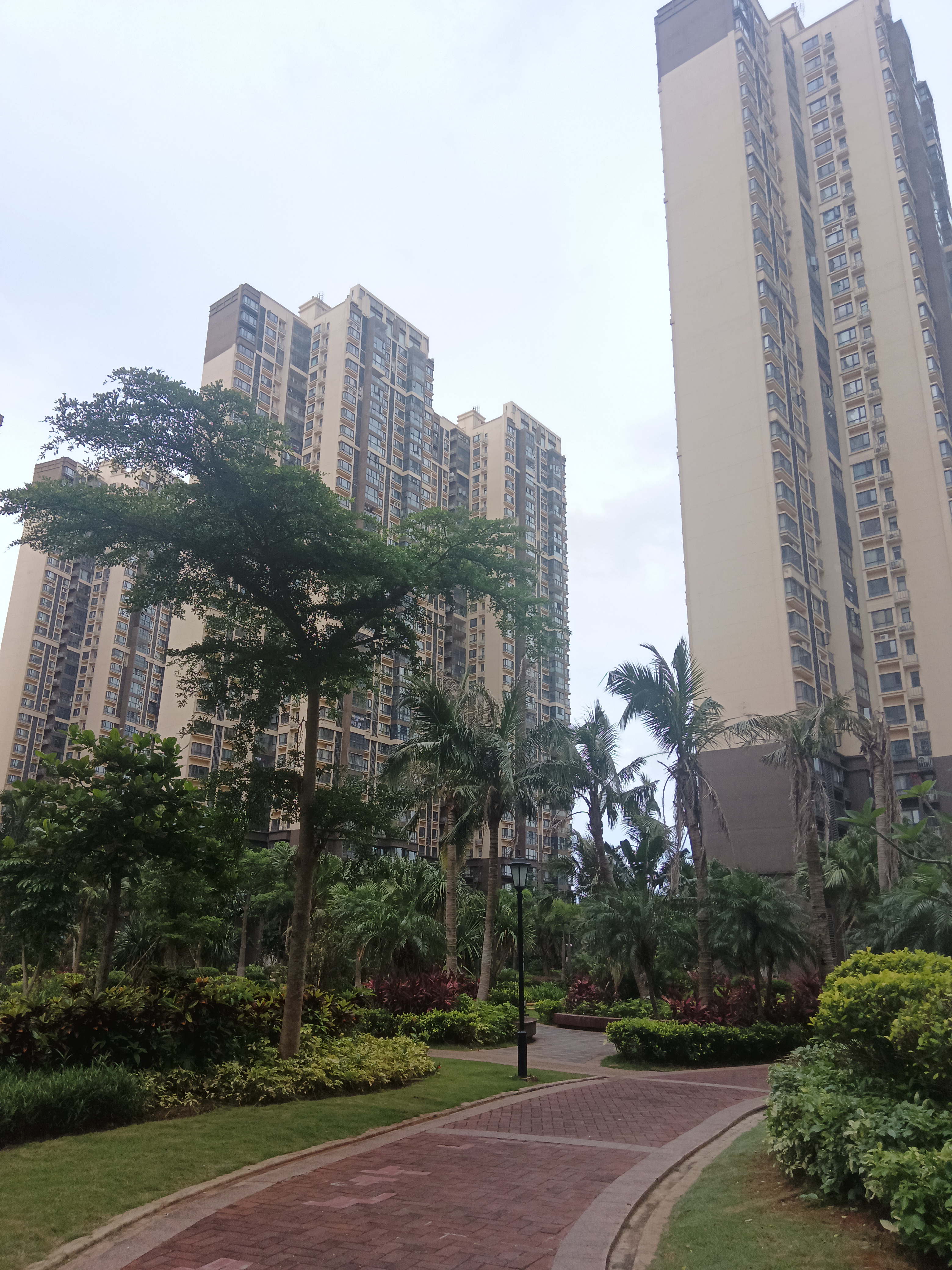 外景图