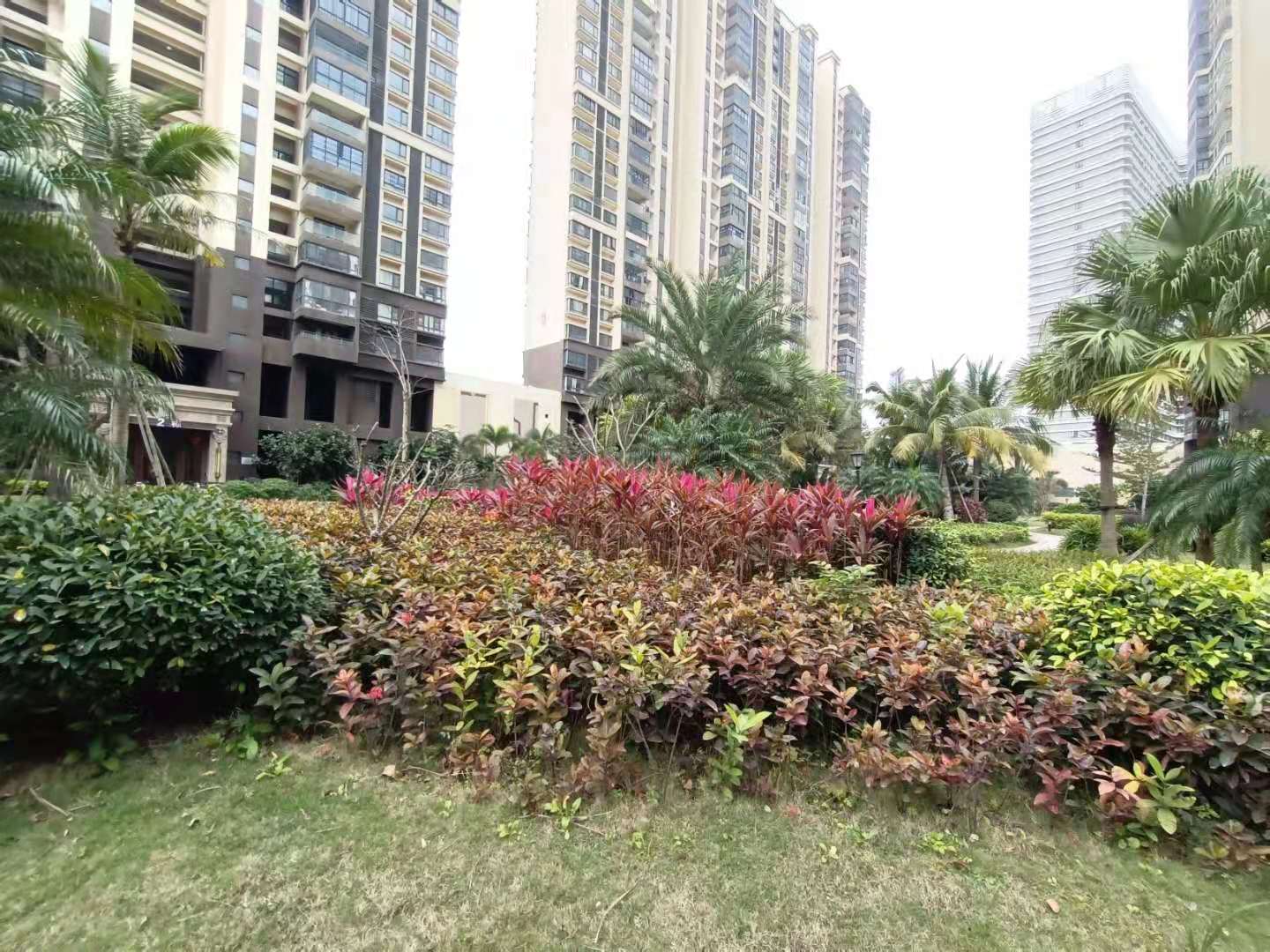 外景图