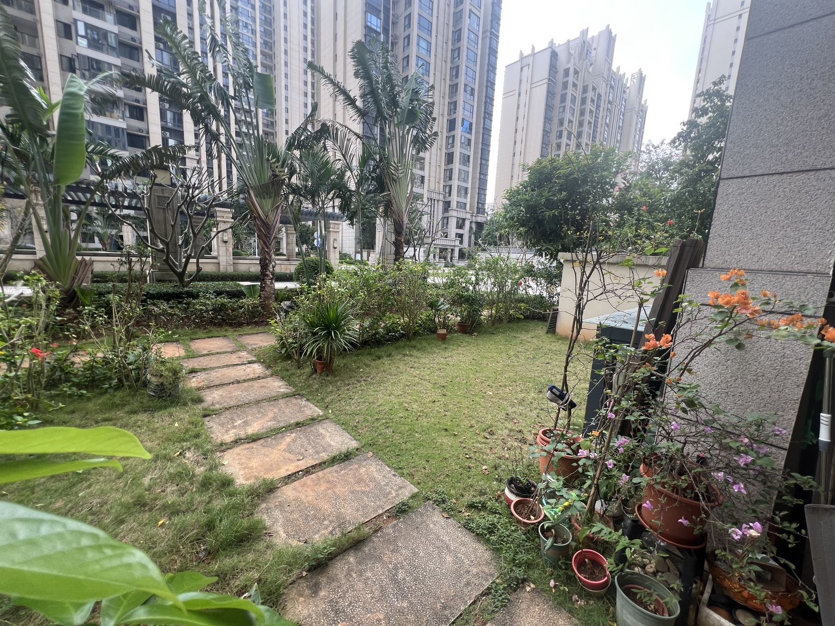 外景图