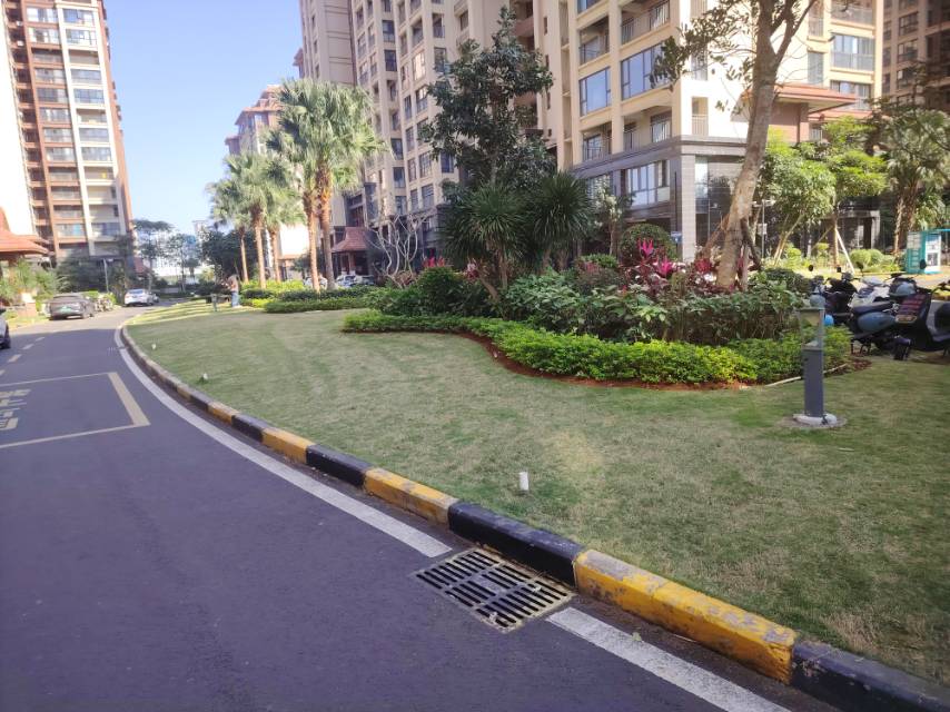 外景图