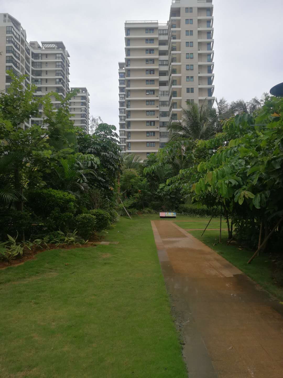 外景图