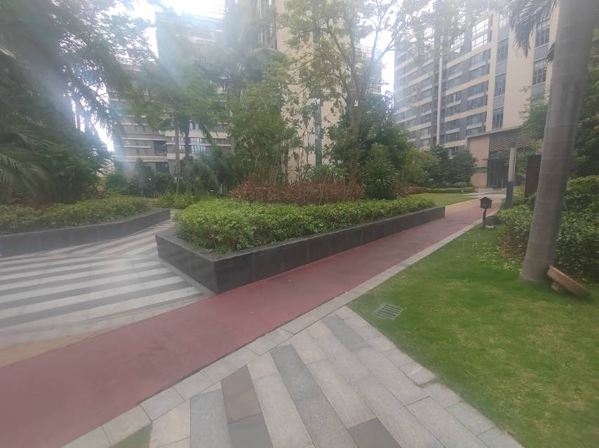 外景图
