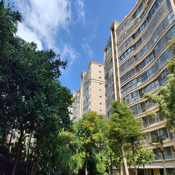 外景图