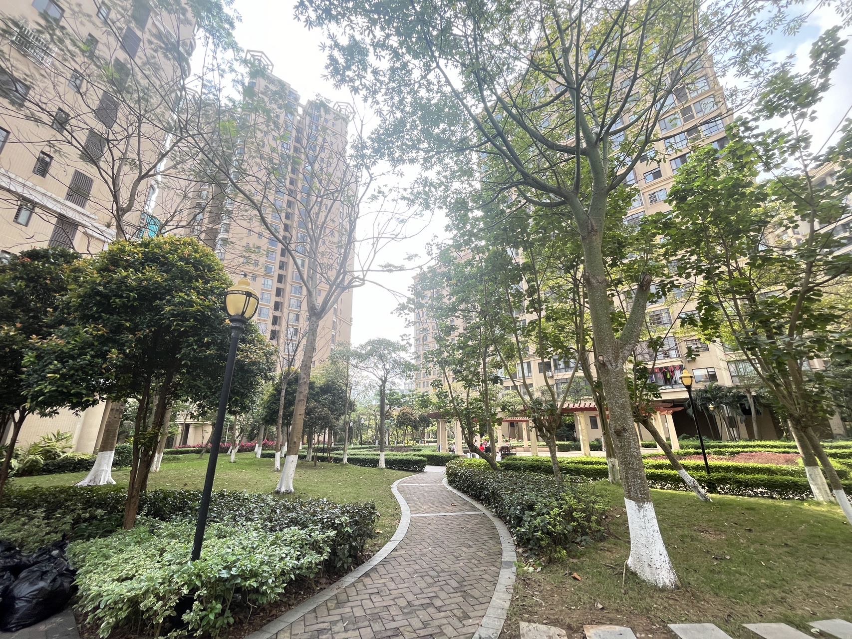 外景图