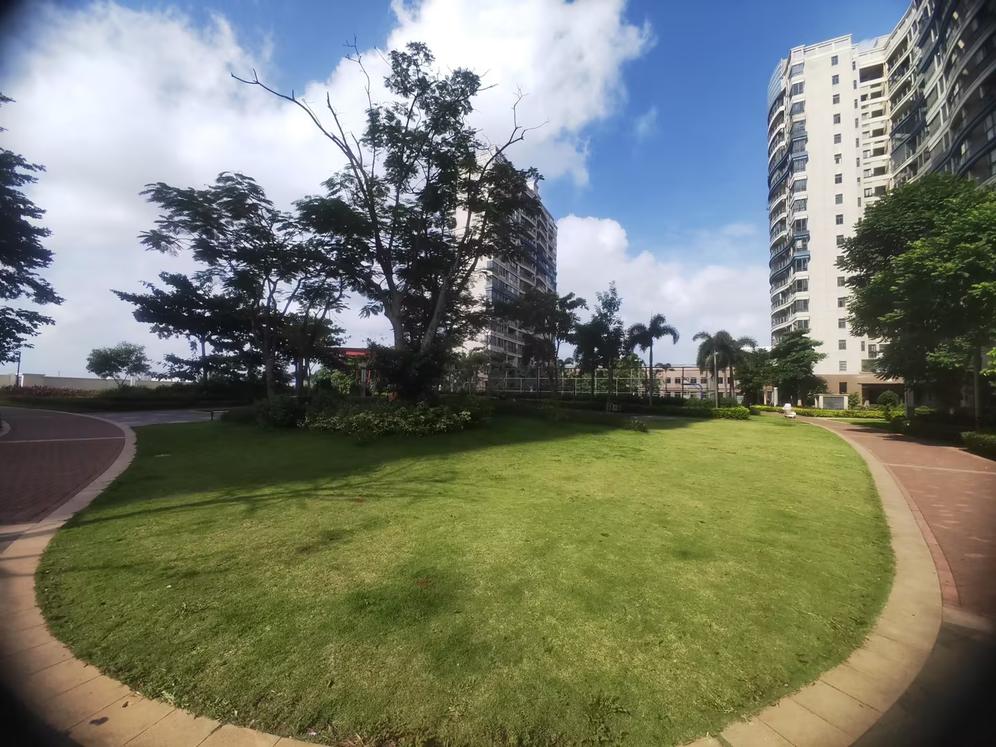 外景图